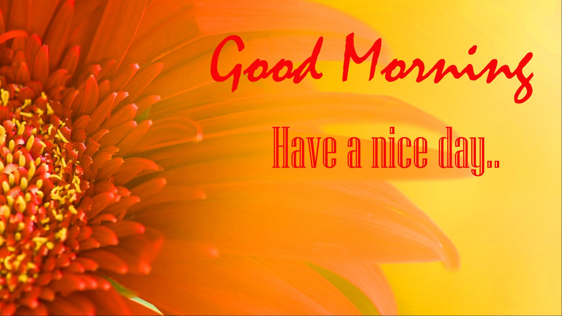 Good Morning Pic Full Hd 1080p - HD Wallpaper 