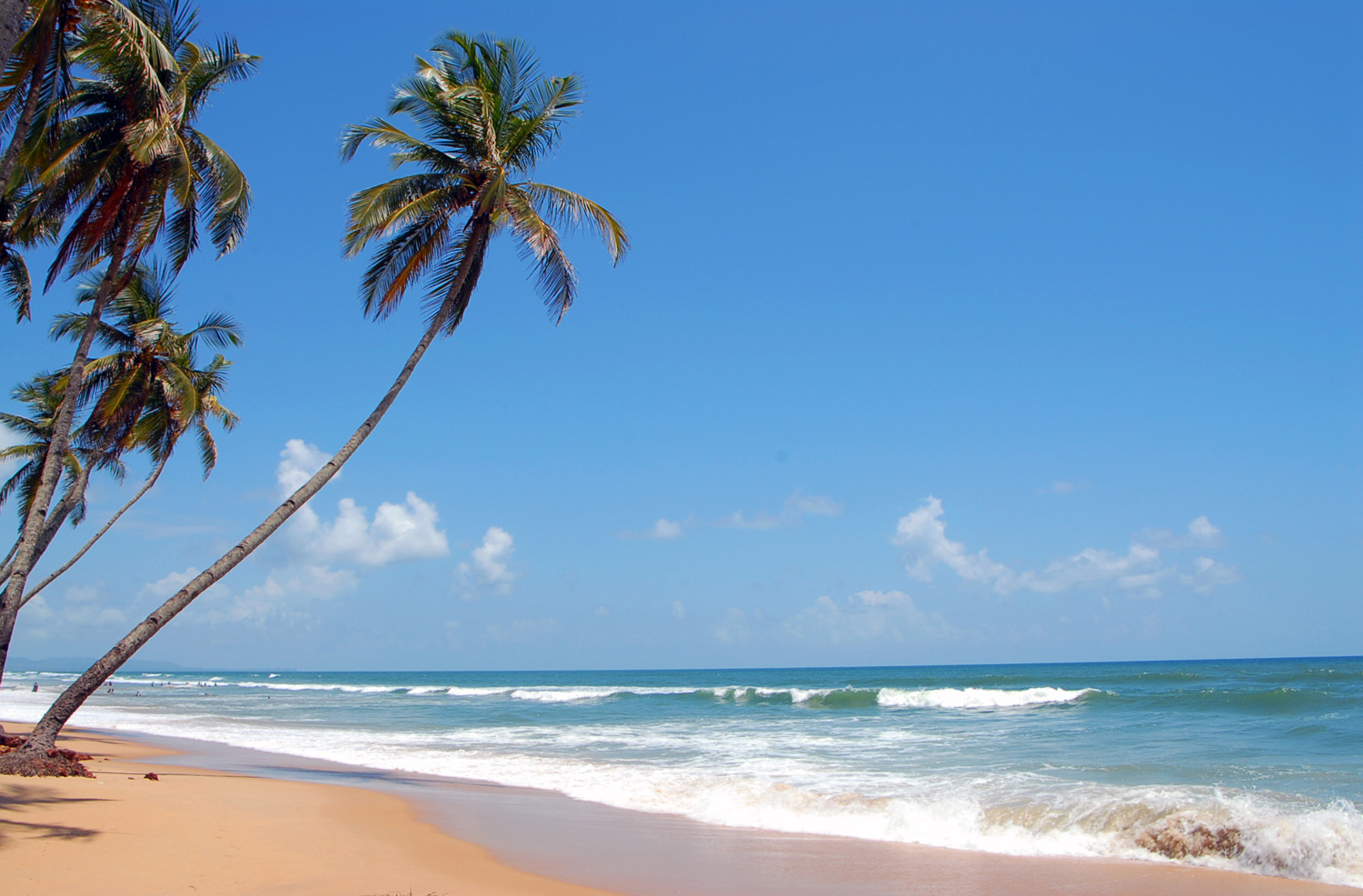 Goa Beach - 1500x986 Wallpaper Goa Beach - 1500x986 Wallpaper