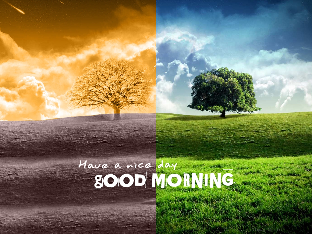 Morning Best Good With Quotes Wallpaper With Resolution - Environment Day Good Morning - HD Wallpaper 