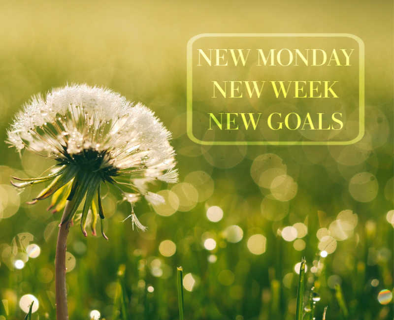 Happy Monday Quotes - Monday Morning - HD Wallpaper 