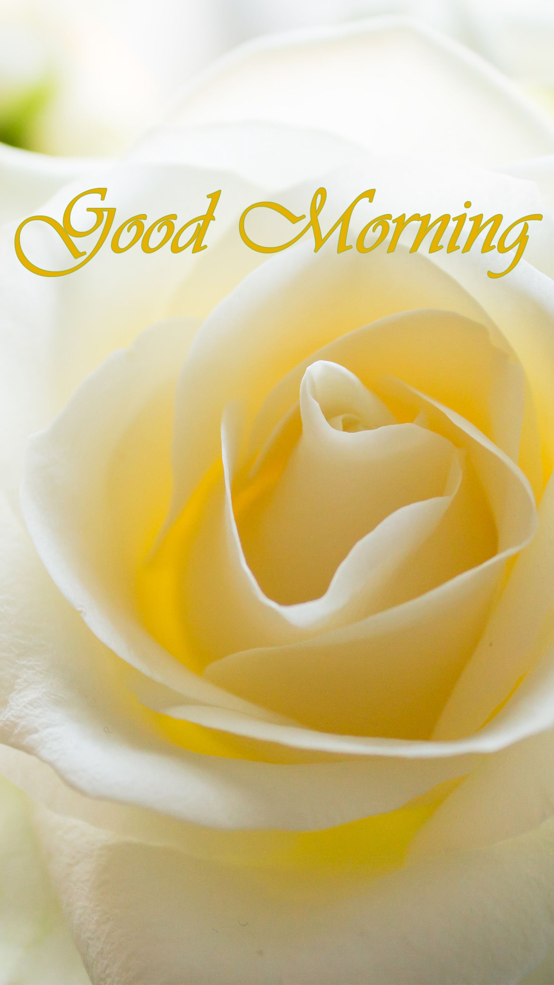 High Quality Good Morning - 1080x1920 Wallpaper High Quality Good Morning - 1080x1920 Wallpaper