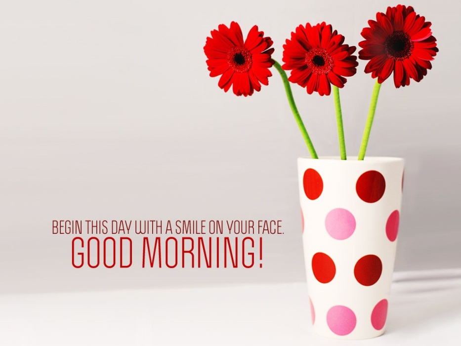 Good Morning Flowers With Smiles - HD Wallpaper 