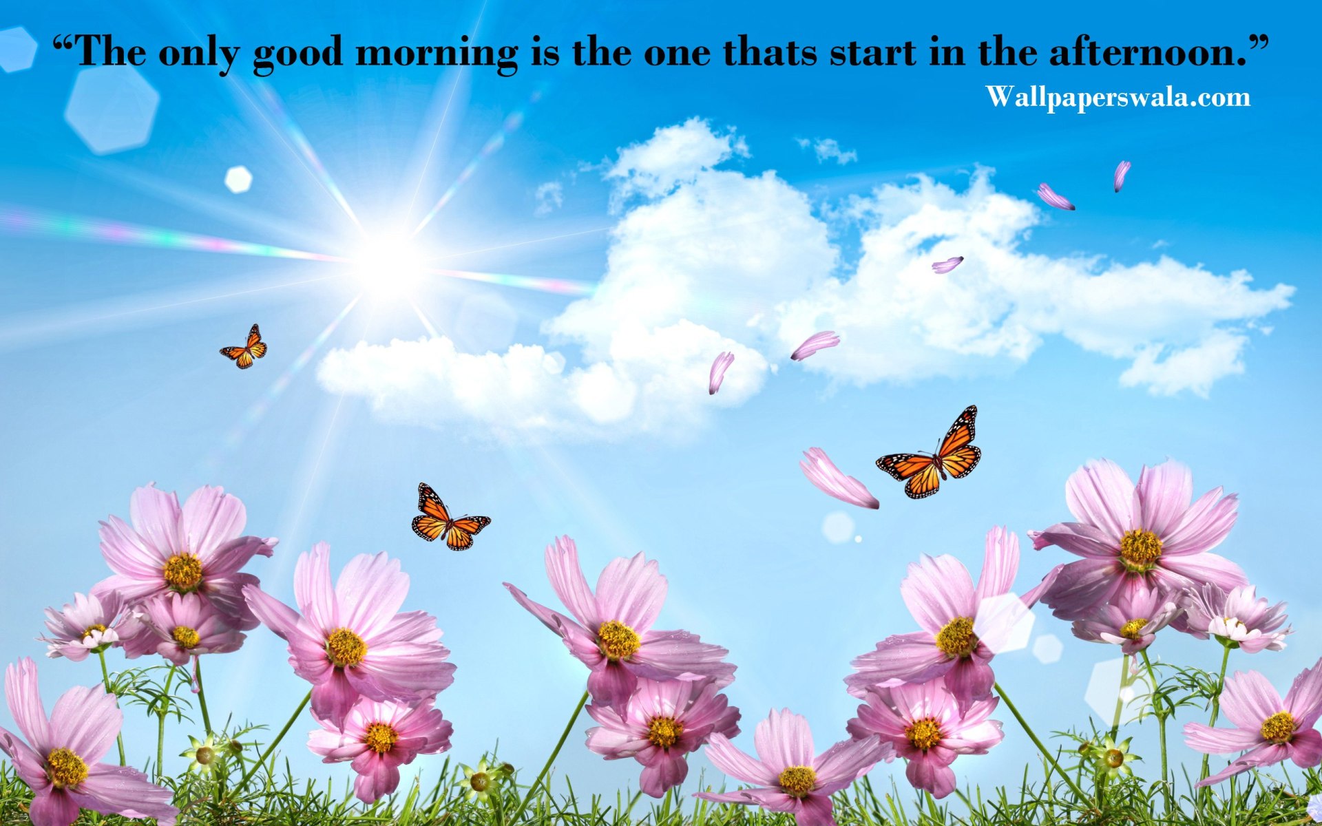 Free Amazing Good Afternoon Images - HD Wallpaper 