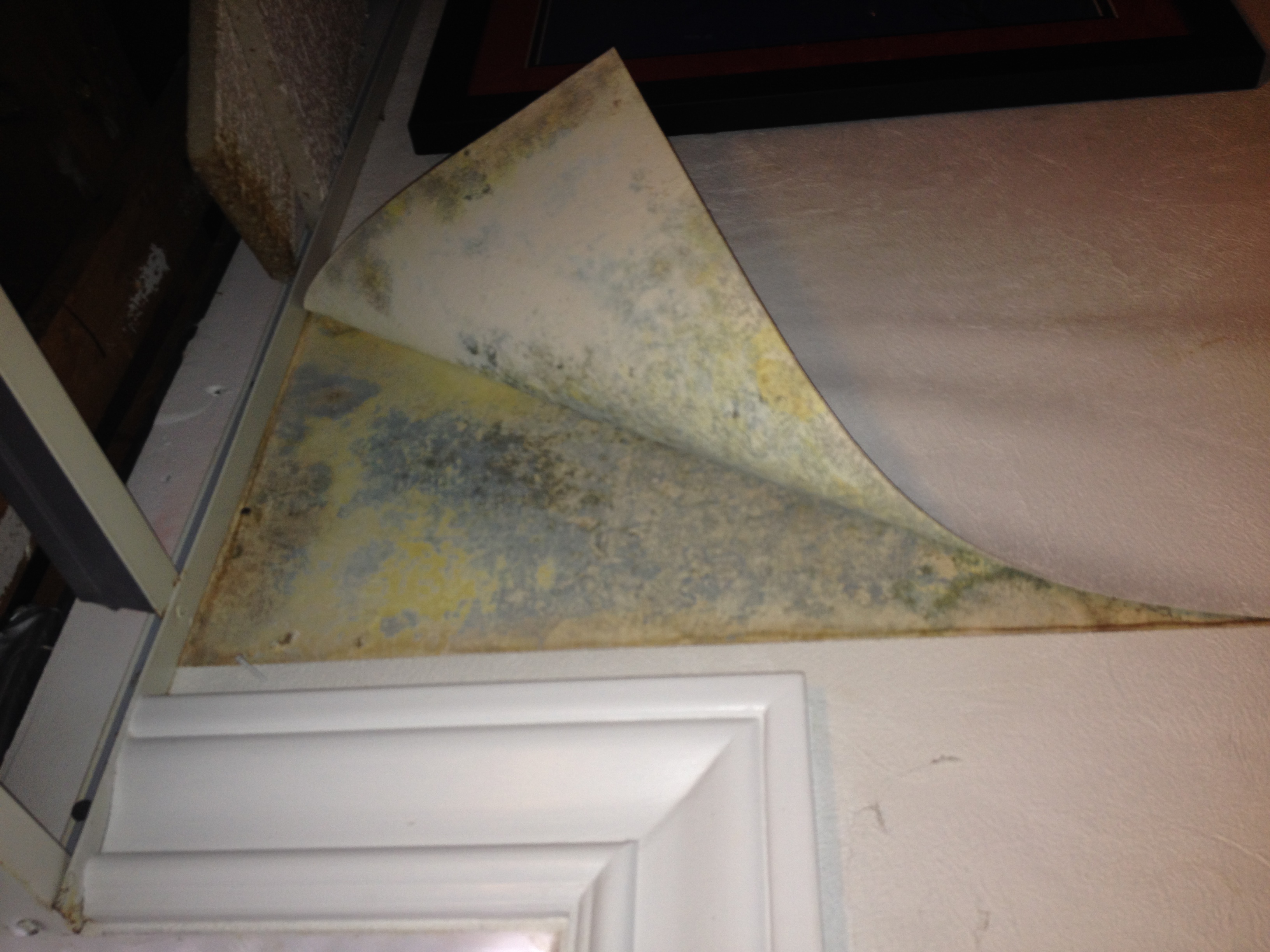 Ceiling - HD Wallpaper 