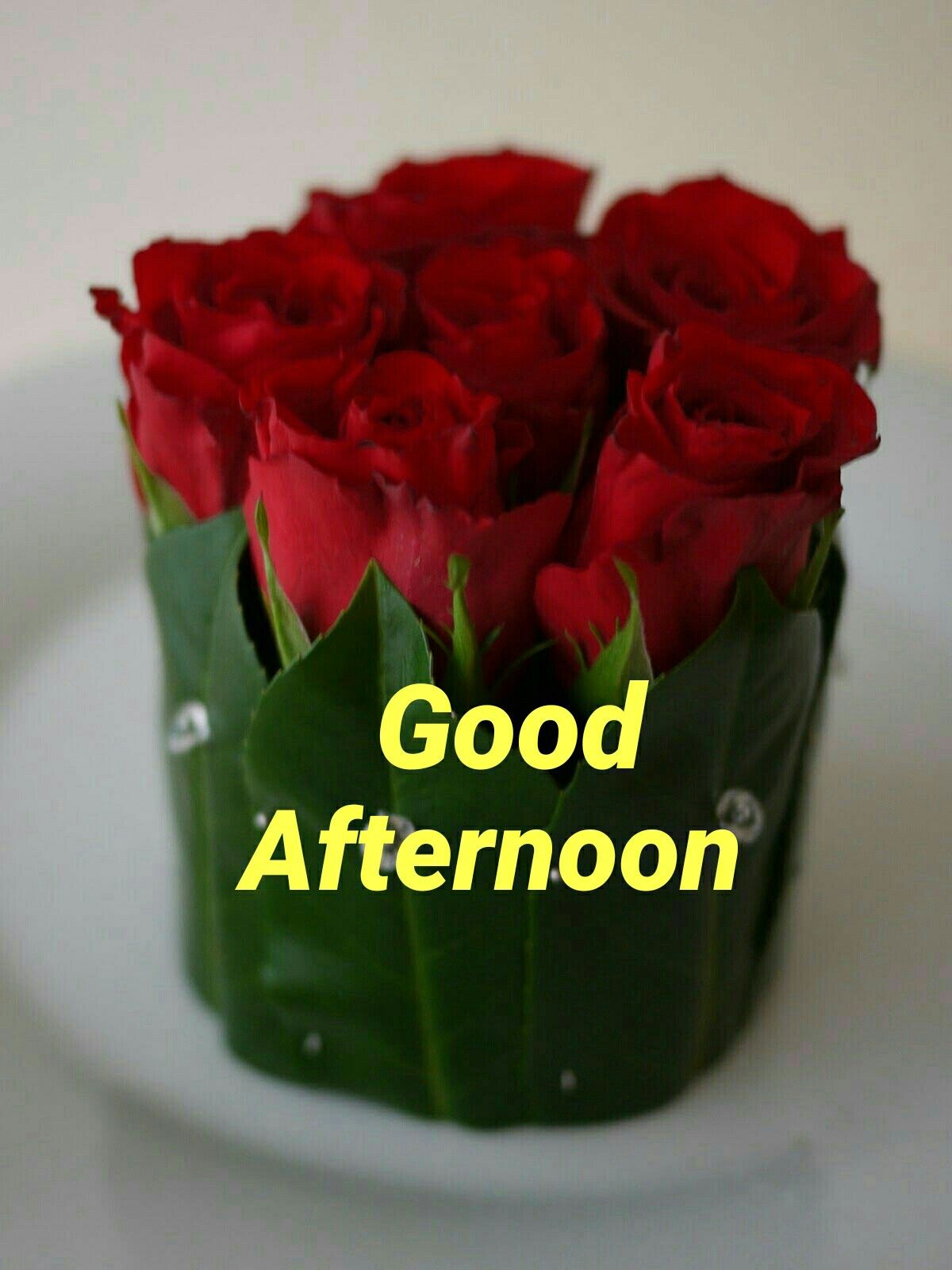 Garden Roses - HD Wallpaper 