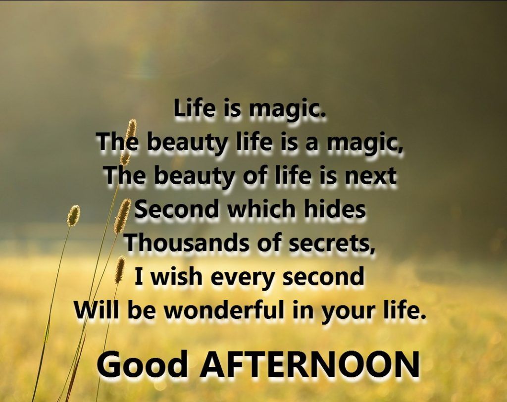 Good Afternoon With Quotes 1024x812 Wallpaper Teahub Io