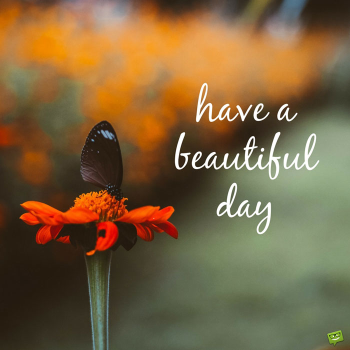 Have A Beautiful Day - Beautiful Day - HD Wallpaper 