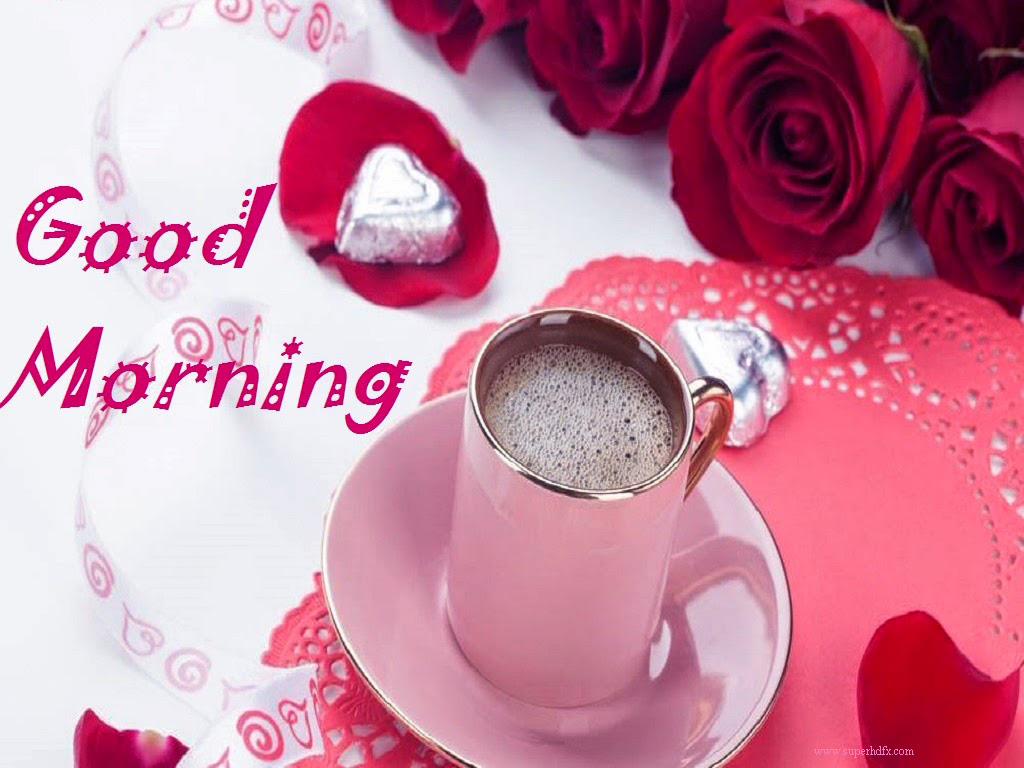 Lovely Morning Wallpaper - HD Wallpaper 
