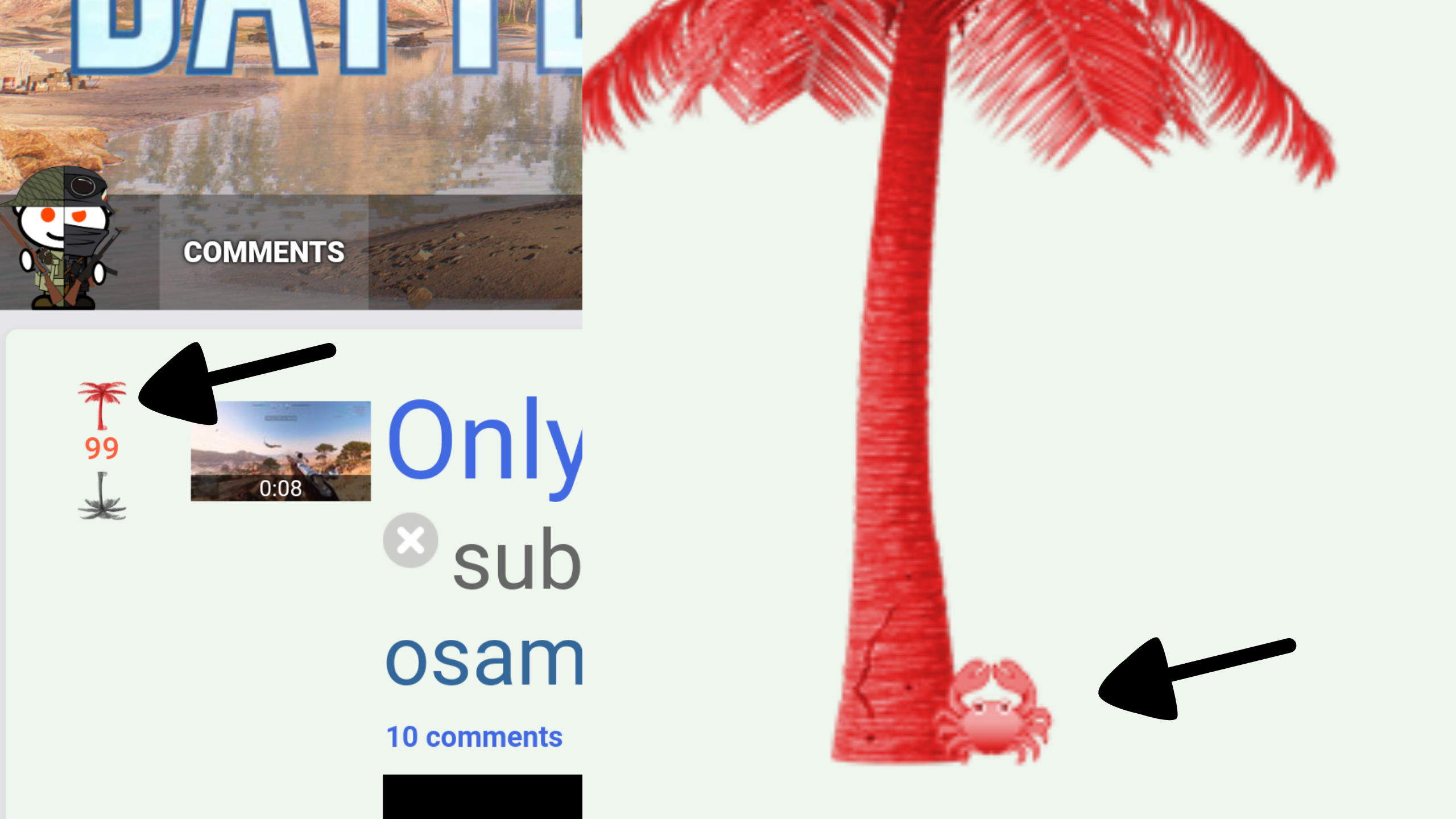 Palm Tree - HD Wallpaper 