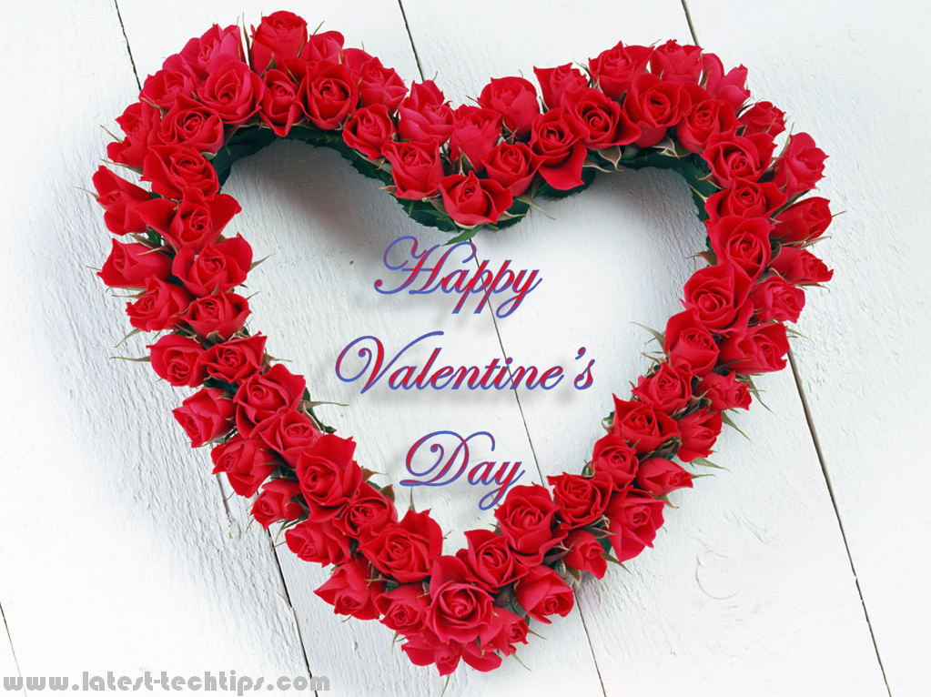 Red Rose Photos Free Download - HD Wallpaper 