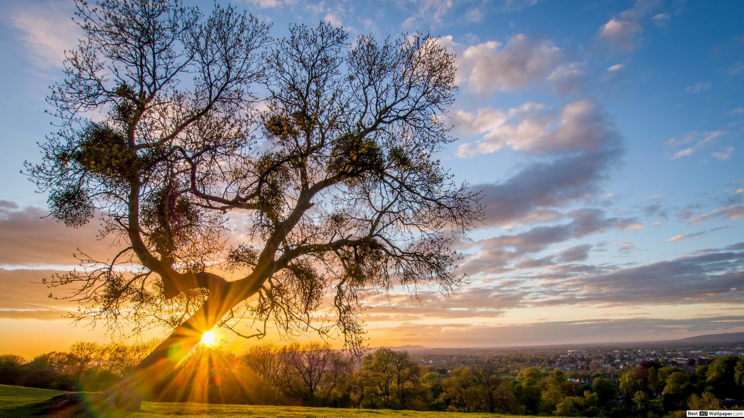 Morning View - 2560x1440 Wallpaper Morning View - 2560x1440 Wallpaper