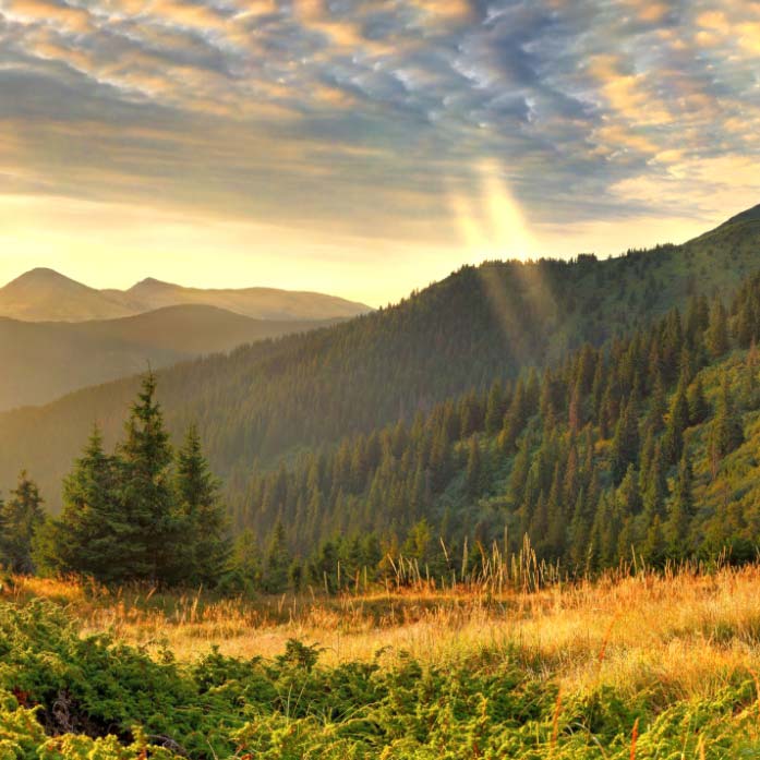 Spring Morning Wallpaper Engine - Desktop Landscape Background - HD Wallpaper 