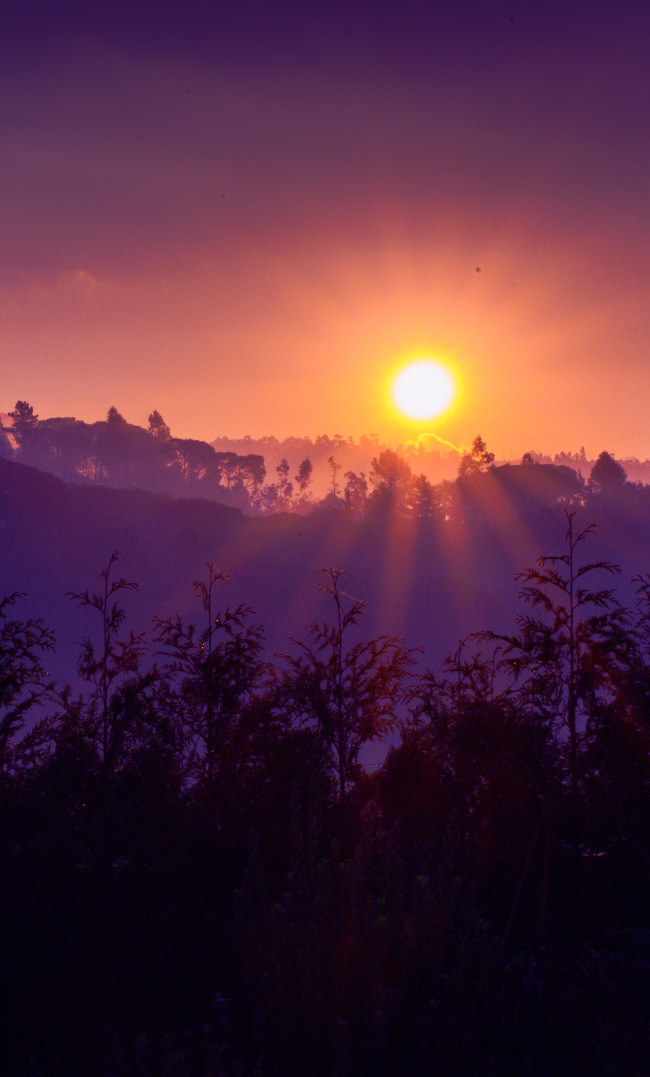 Sunset - HD Wallpaper 