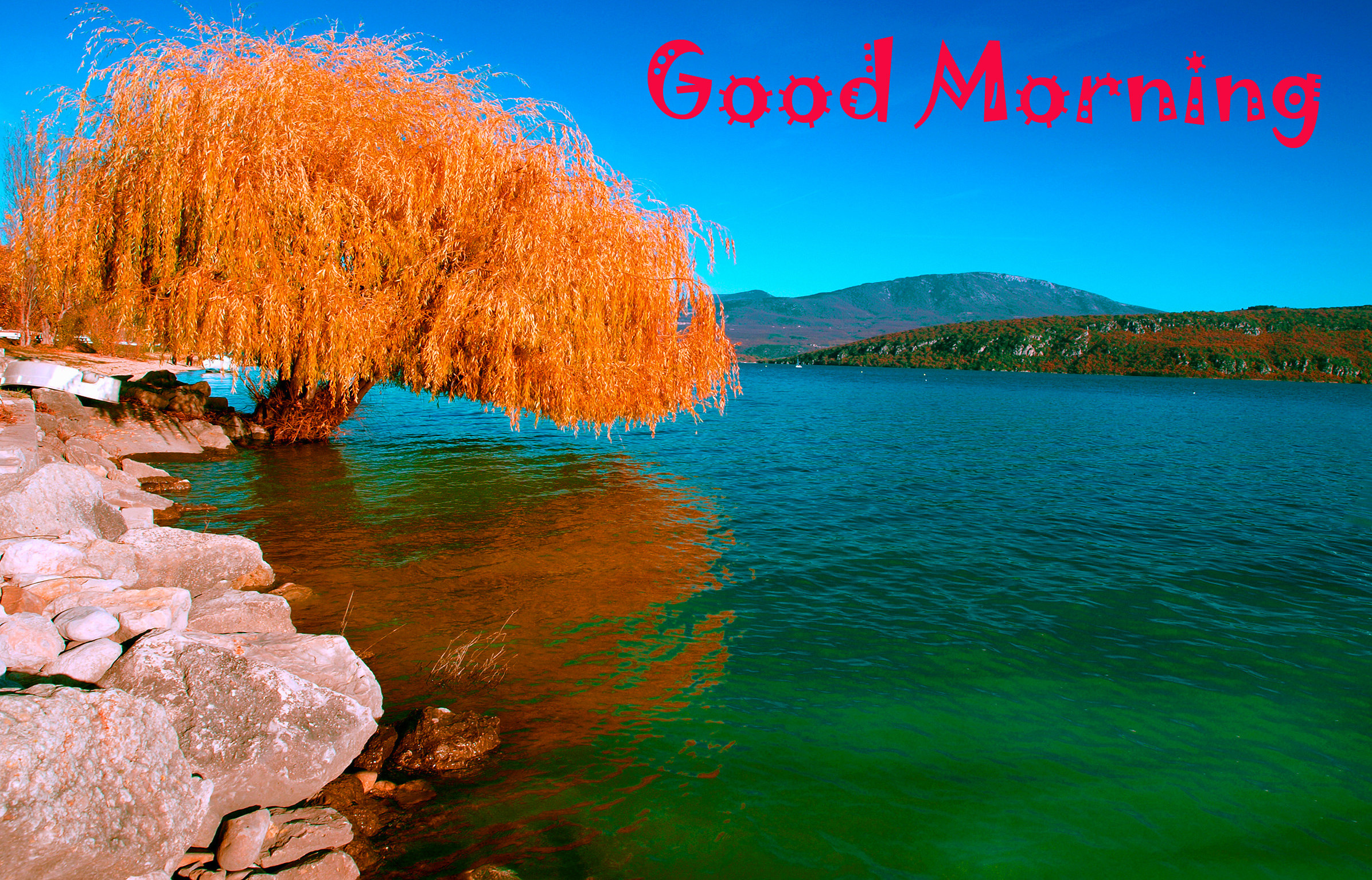 Good Morning Images Wallpaper Pics Download With Beautiful - Nature Image Good Morning - HD Wallpaper 