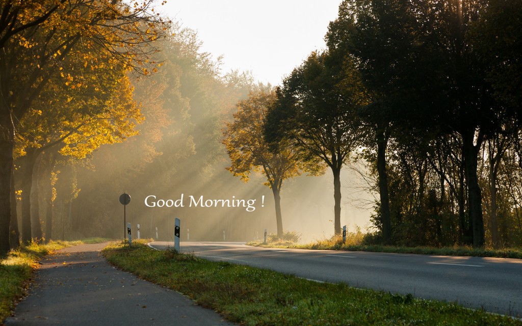 Morning Wallpapers Full Hd - HD Wallpaper 