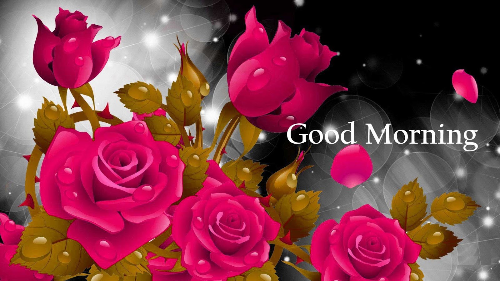 Good Morning Roses - Good Morning Rose Flower Hd - 1600x900 Wallpaper -  
