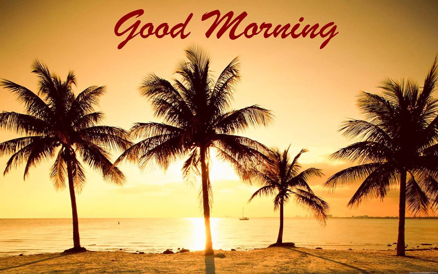 Good Morning Palm Beach Hd Wallpaper - Good Morning At The Beach - HD Wallpaper 