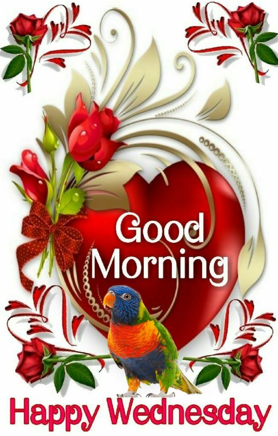 Wednesday Good Morning Wishes Wallpaper - Happy Wednesday Good Morning Wishes - HD Wallpaper 