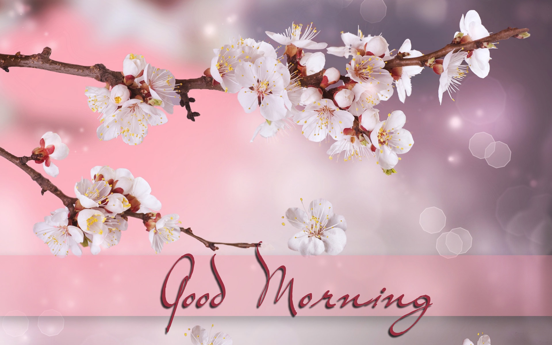 Good Morning Nature Wallpaper - Full Hd Gm Image Hd - HD Wallpaper 