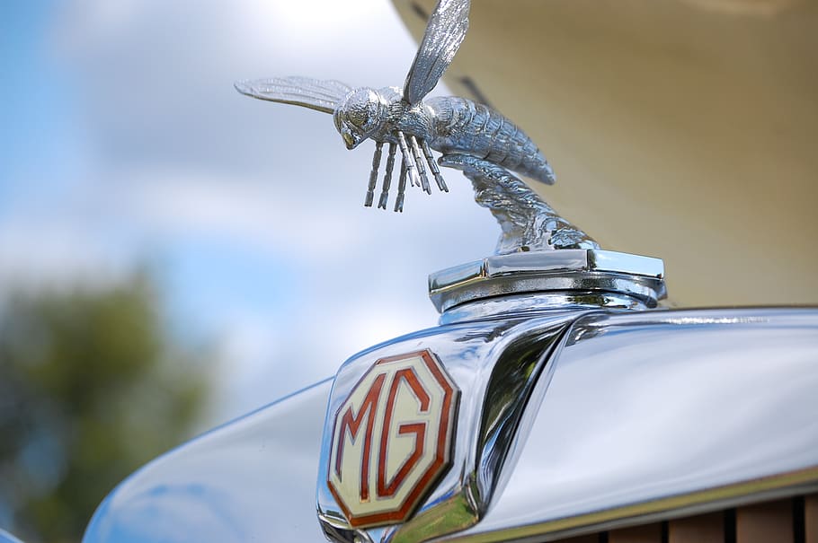 Mg, Hornet, Car, Antique, Classic, British, Vintage, - Car Emblem Hornet - HD Wallpaper 