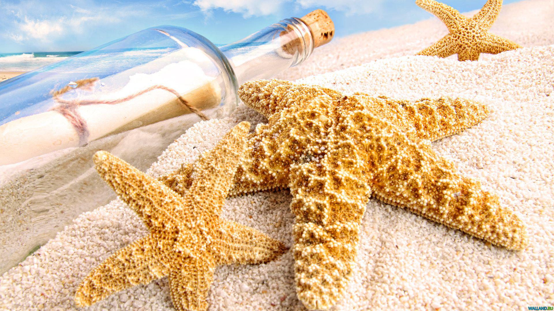 Hd Starfish Ocean Sea Sealife Fish Bokeh Cool Wallpaper - Bottle Message In Sea Hd - HD Wallpaper 