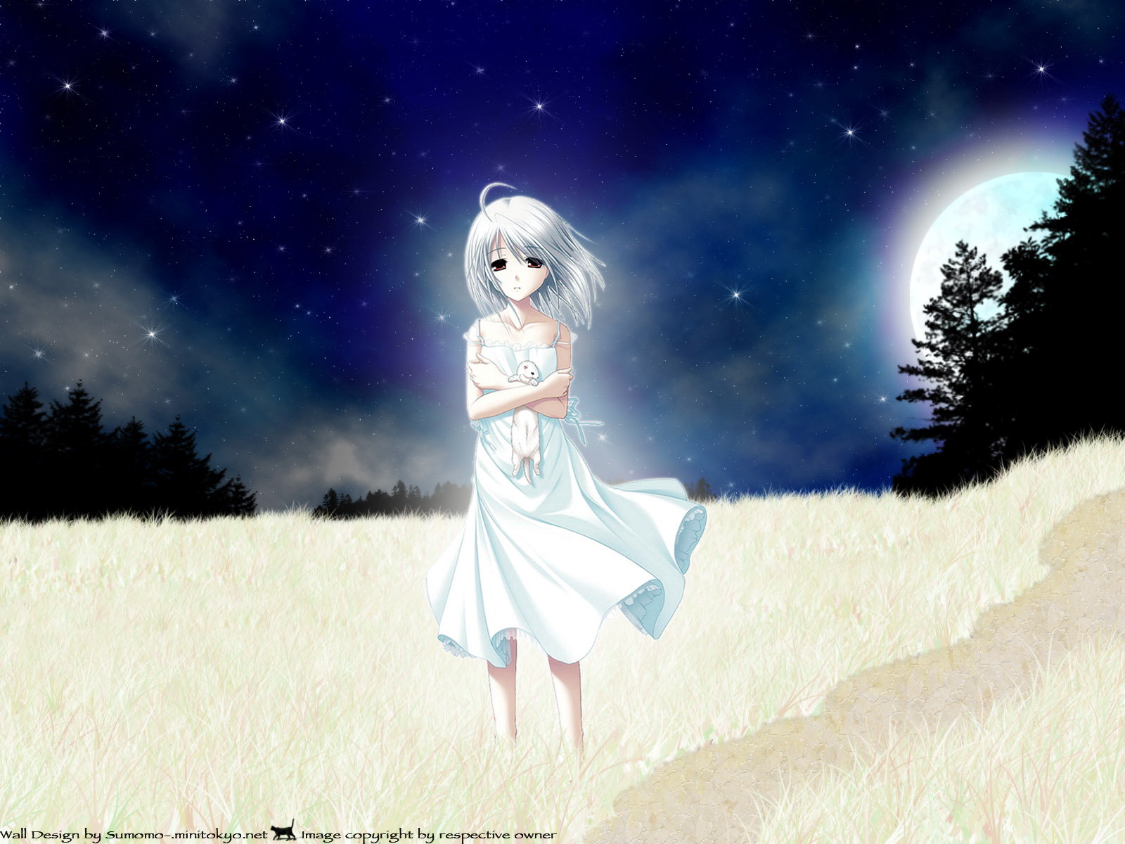 Actress, Princess Soft, White Clarity, Rino , Cookie - White Clarity - HD Wallpaper 