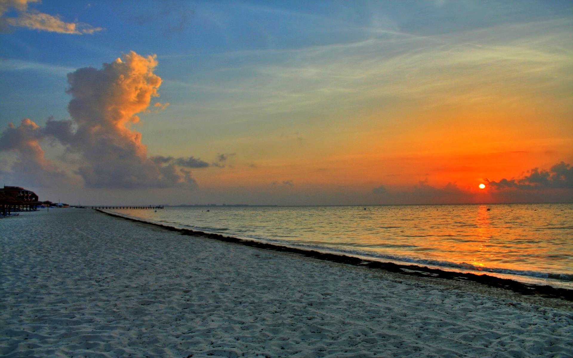 Googlenature - HD Wallpaper 