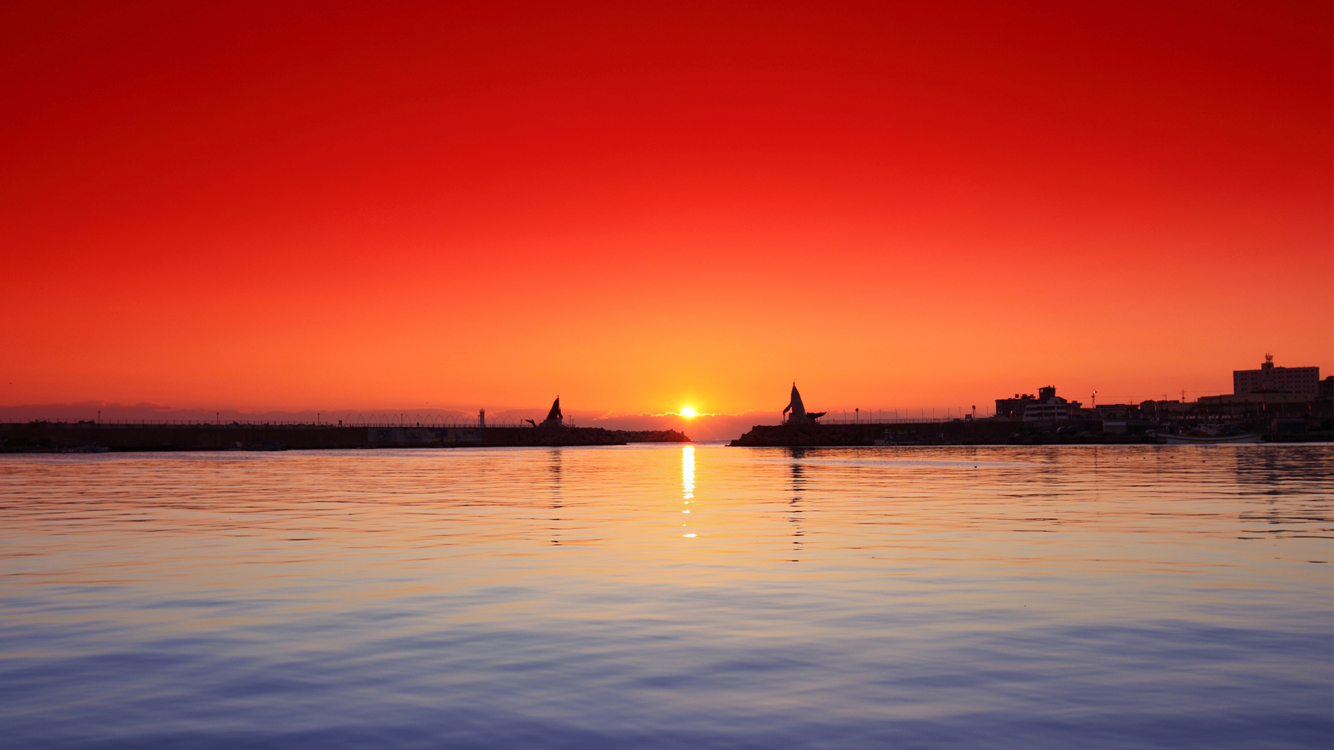 Wallpaper - HD Wallpaper 