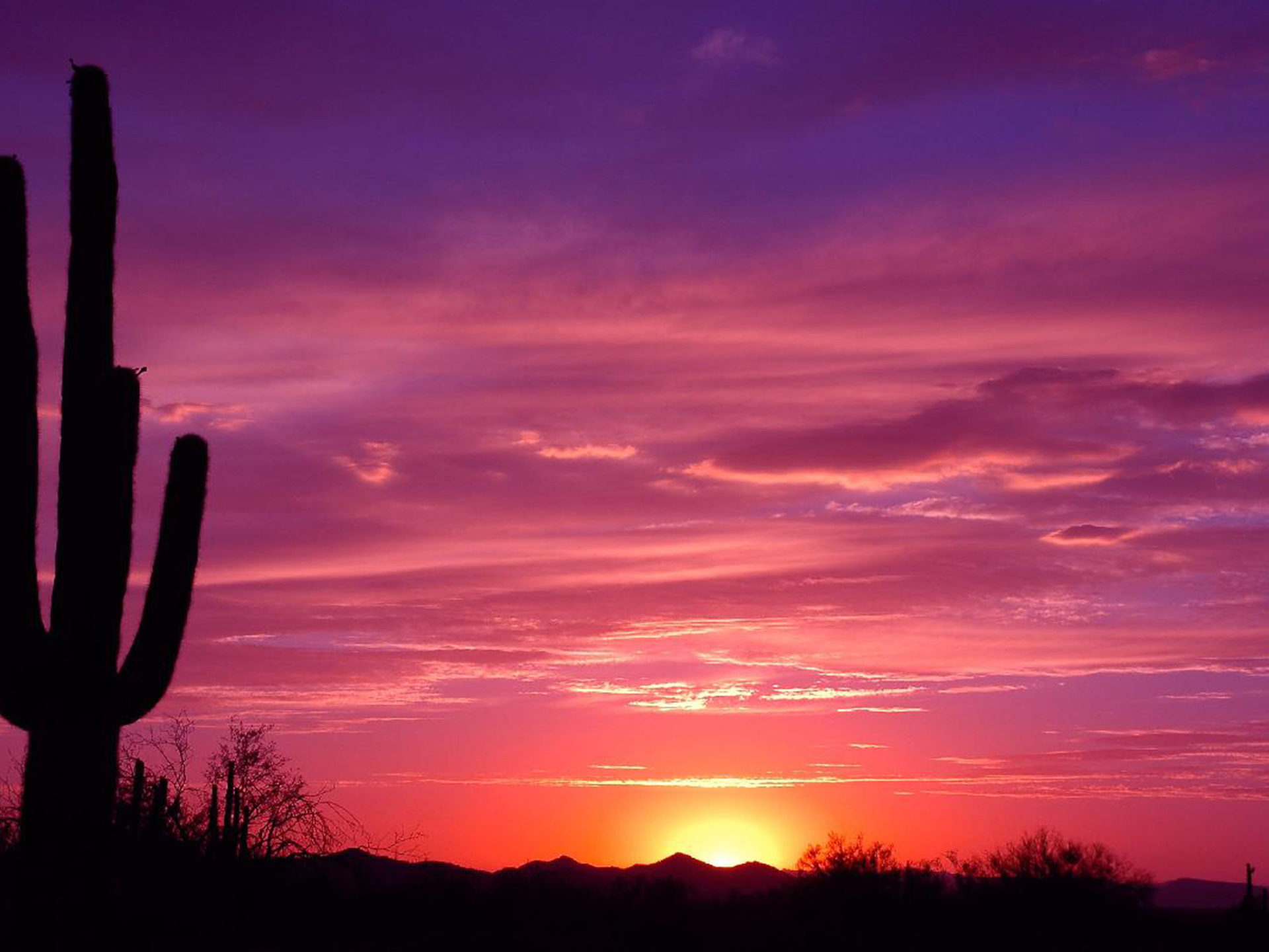 Pink Sky Wallpaper - HD Wallpaper 