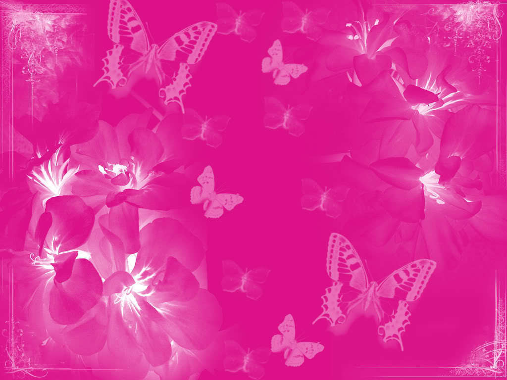 Dark Pink Color Background - HD Wallpaper 