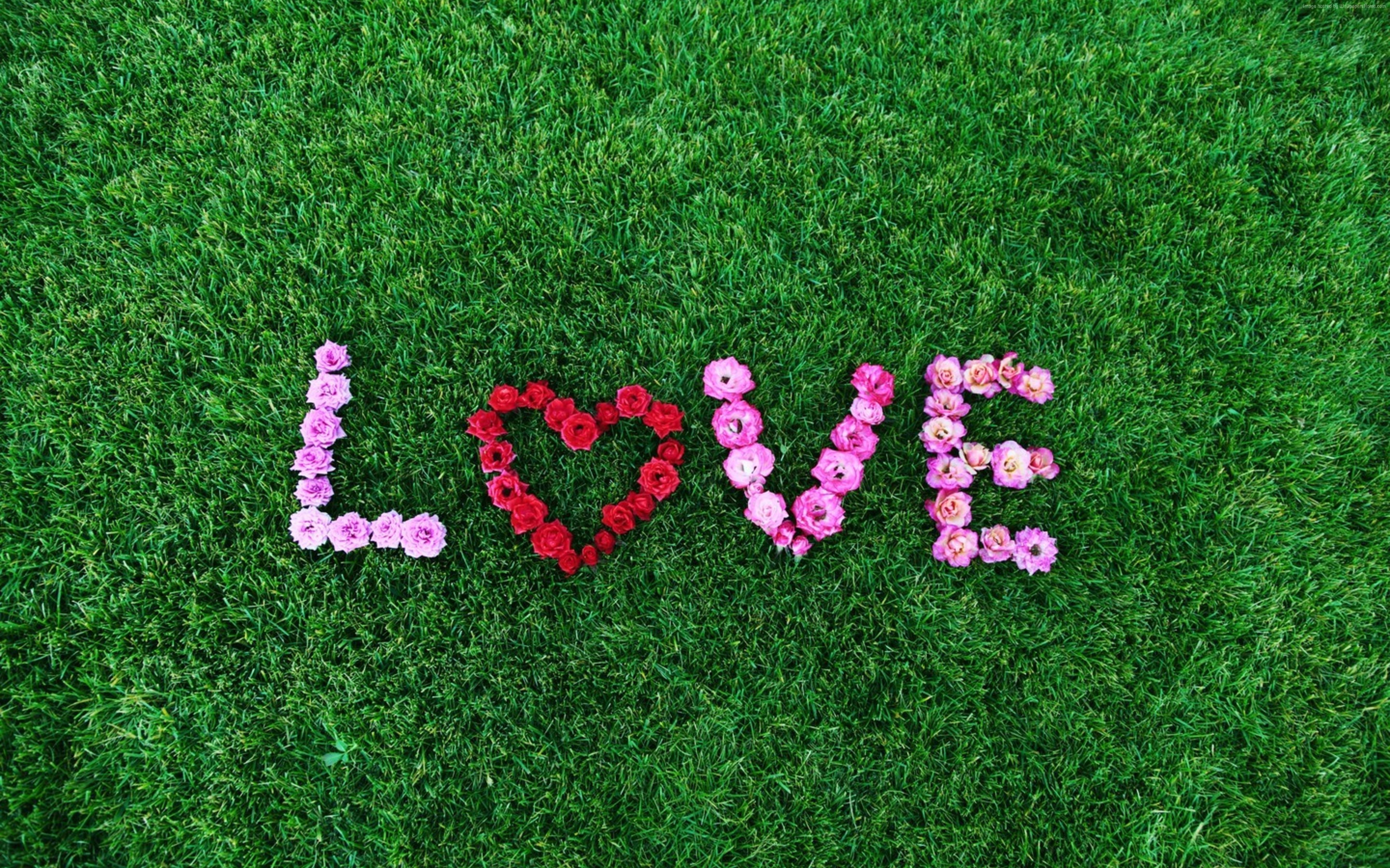 Stock Images Love Image, Heart, 4k, Stock Images - Love Written In Flowers - HD Wallpaper 