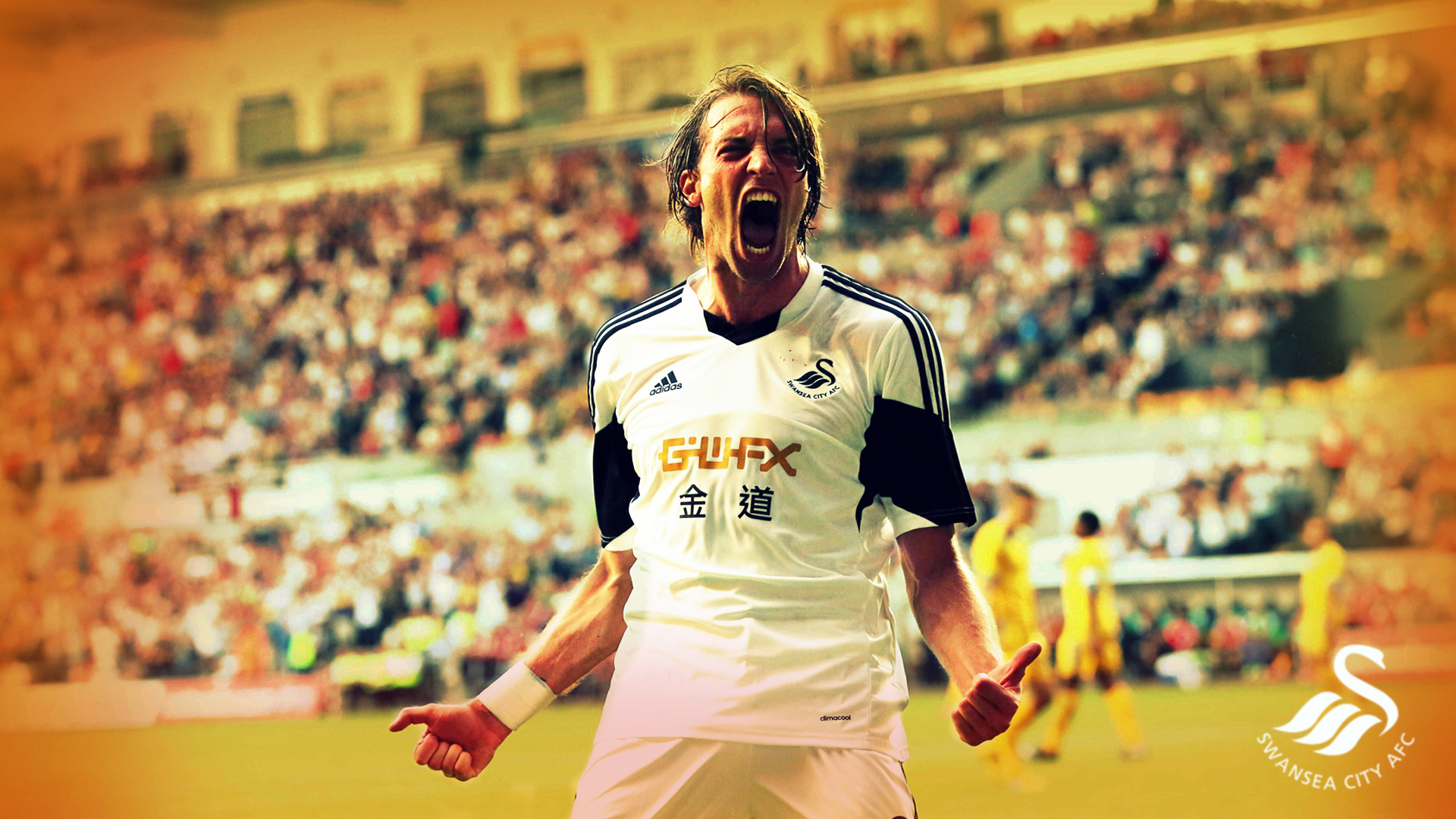 Afc Swansea City - Swansea City A.f.c. - HD Wallpaper 