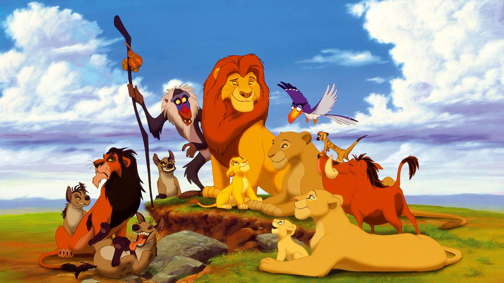 Lion King - HD Wallpaper 