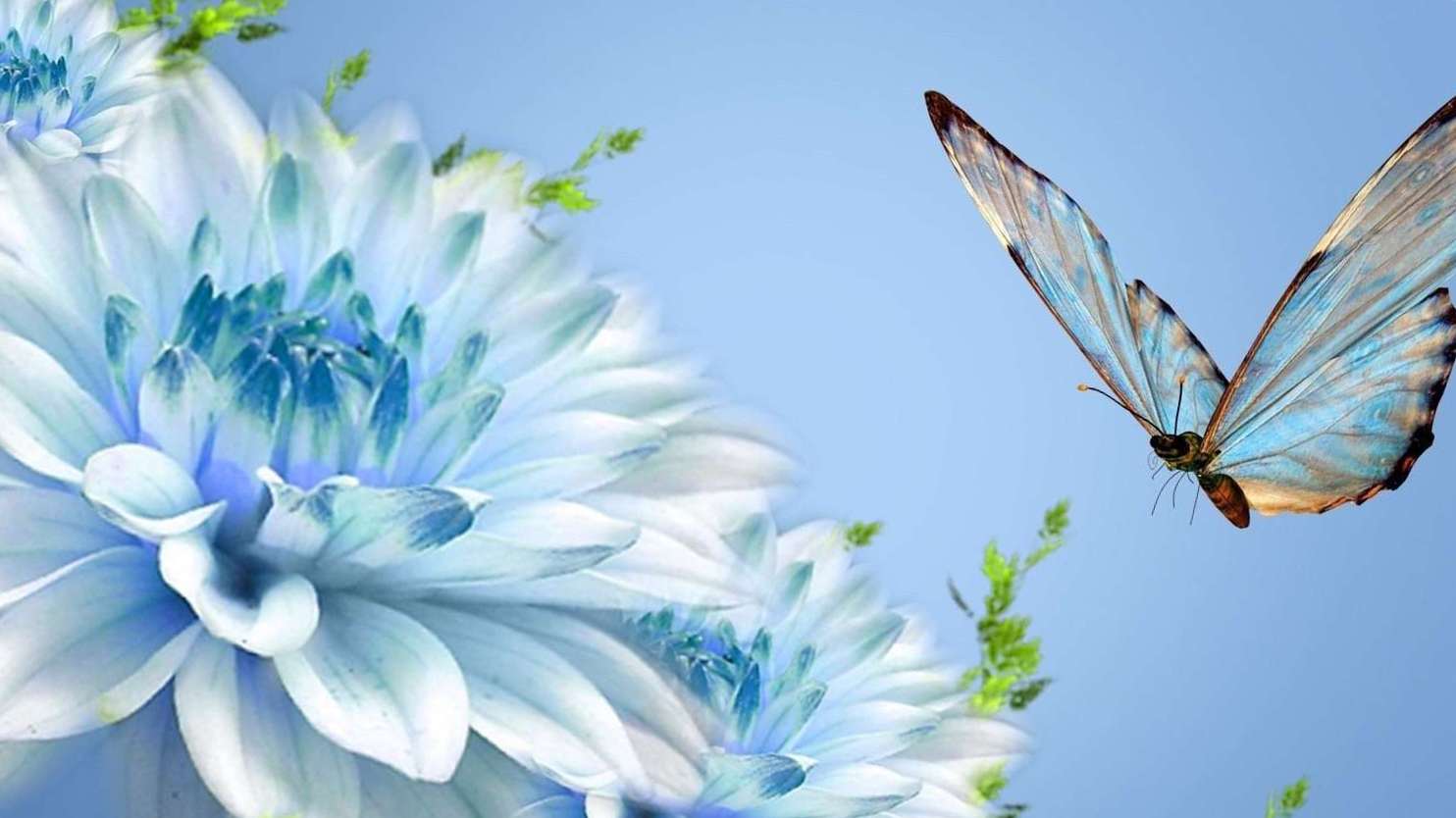 Caterpillar Calls The End Of The World Lao Tzu - HD Wallpaper 