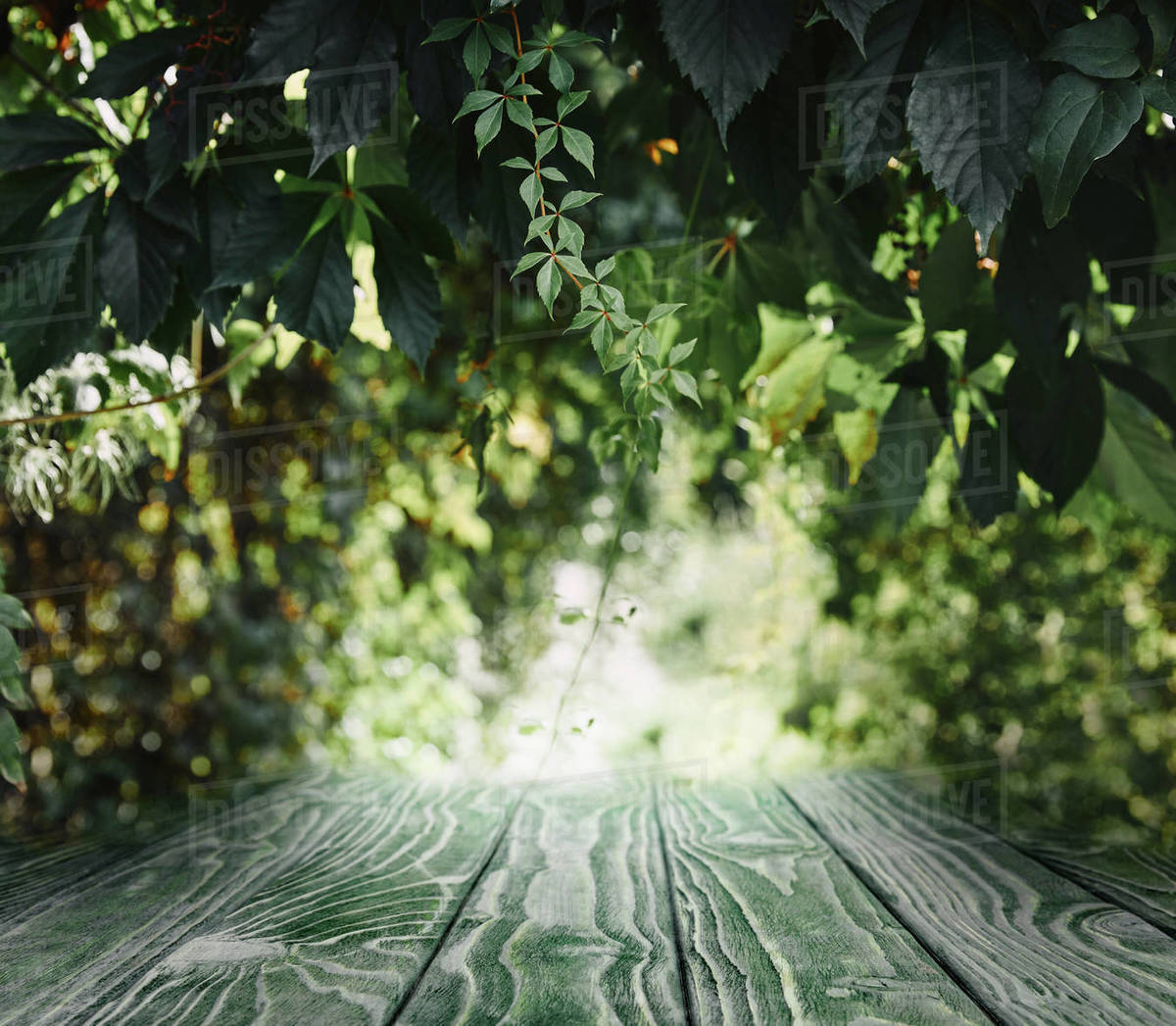 Striped Wooden Background On Green Leaves Wallpaper - Green Leaves - HD Wallpaper 