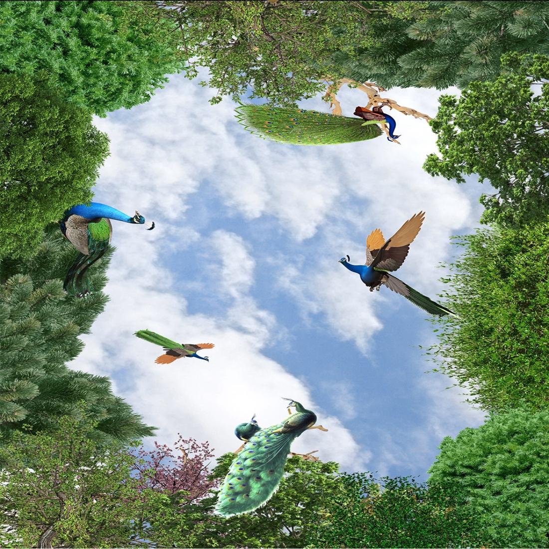 Macaw - HD Wallpaper 
