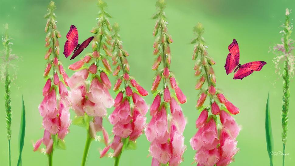 Foxgloves Fancy Wallpaper,personas Hd Wallpaper,bright - Foxgloves - HD Wallpaper 