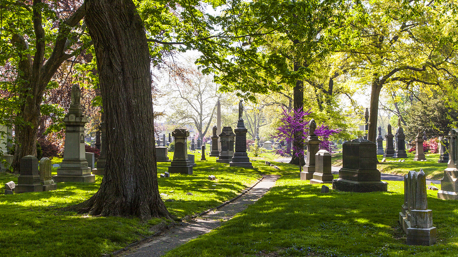 Greenwoodcemetery 20 Barrett Doherty 2015 Signature - Greenwood Cemetery Brooklyn - HD Wallpaper 