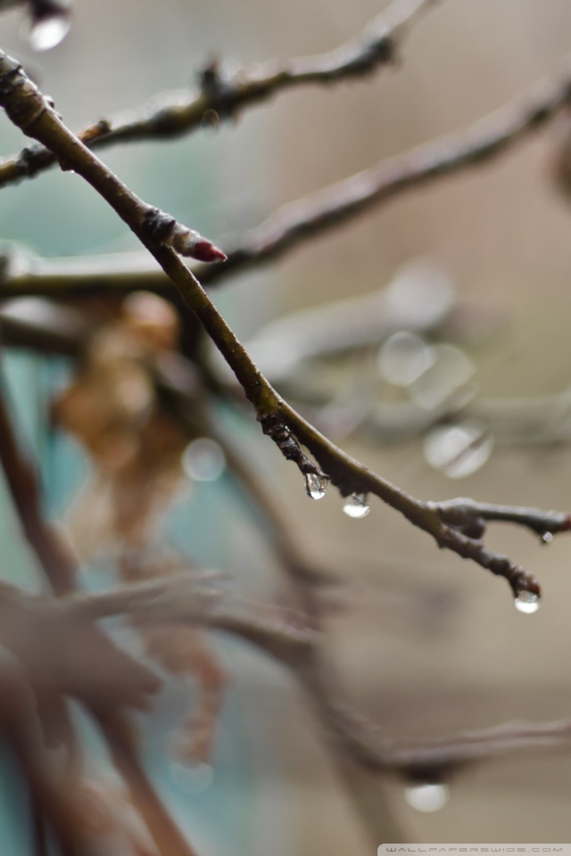 Mobile Phone - HD Wallpaper 