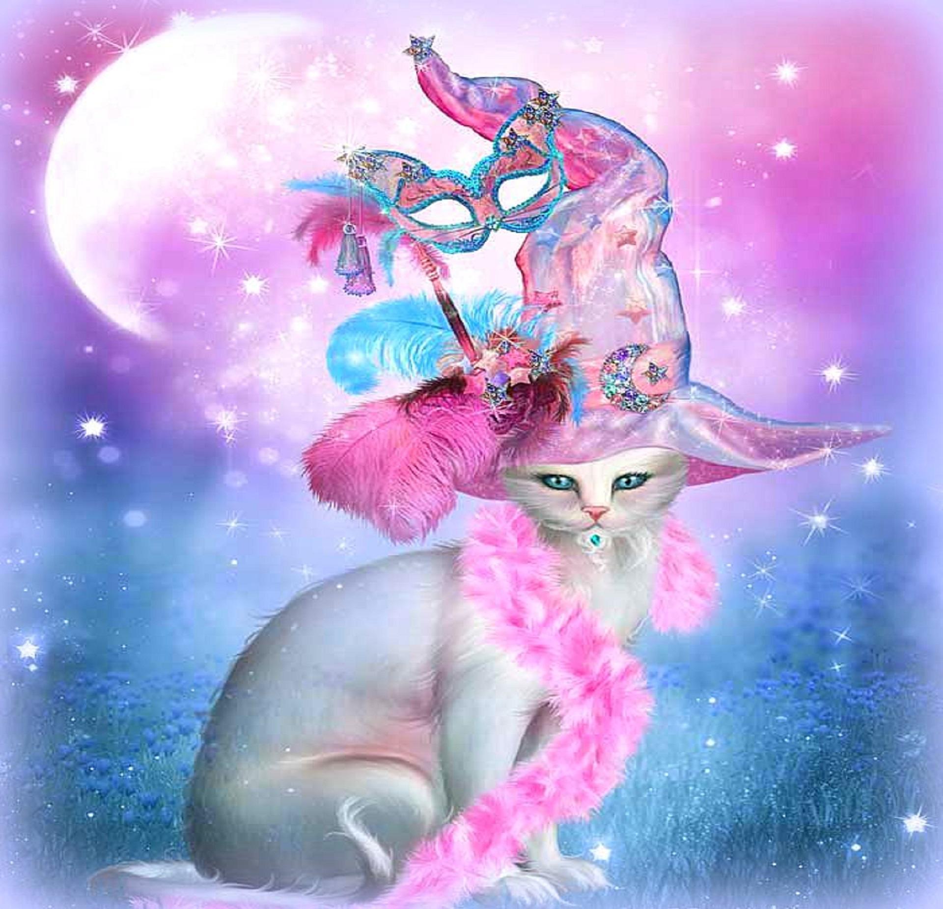 Cat In Fancy Witch Hat - Pink Halloween Cat Witch - HD Wallpaper 