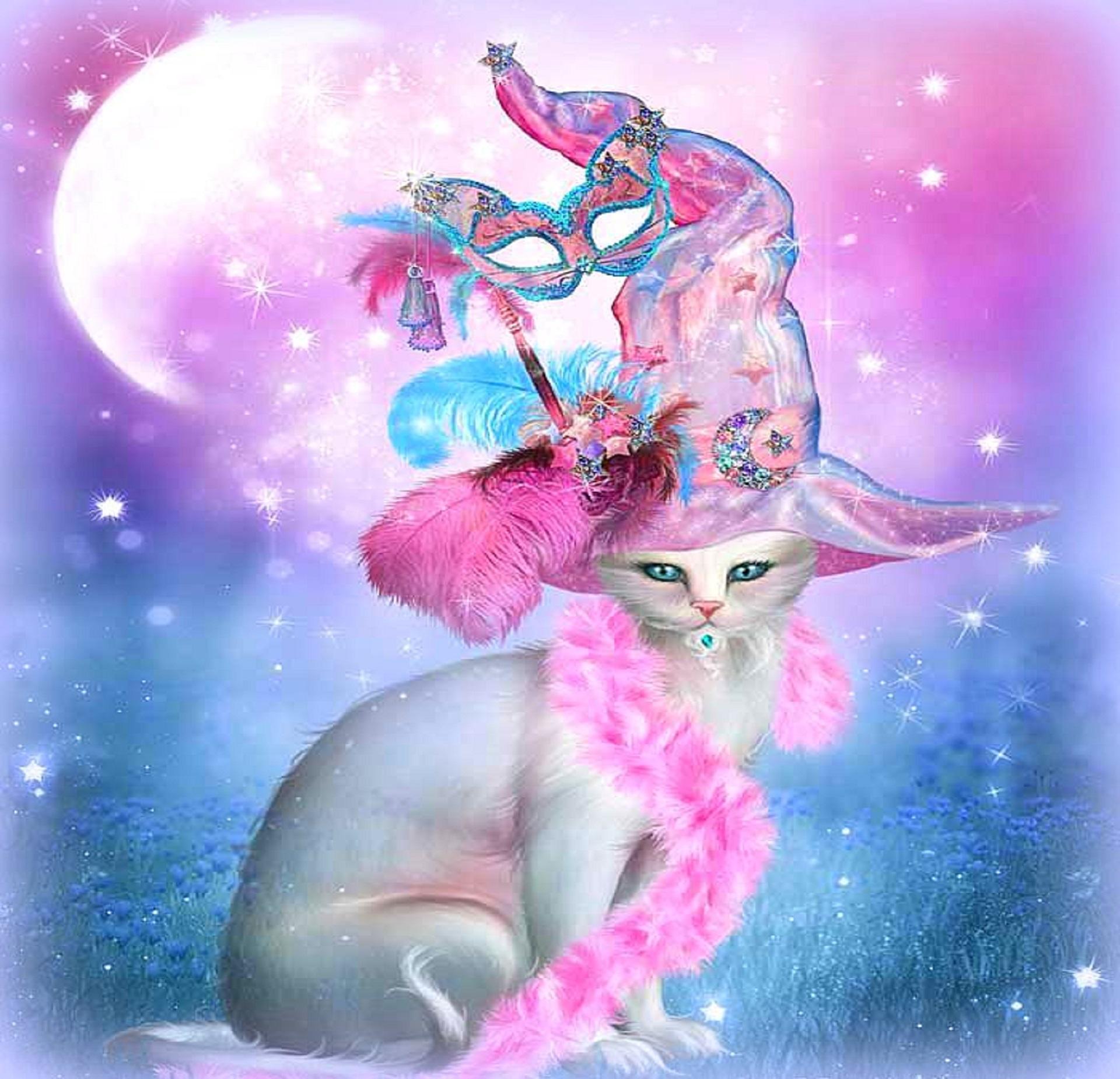 Cat In Fancy Witch Hat - Pink Halloween Cat Witch - 1920x1850 Wallpaper