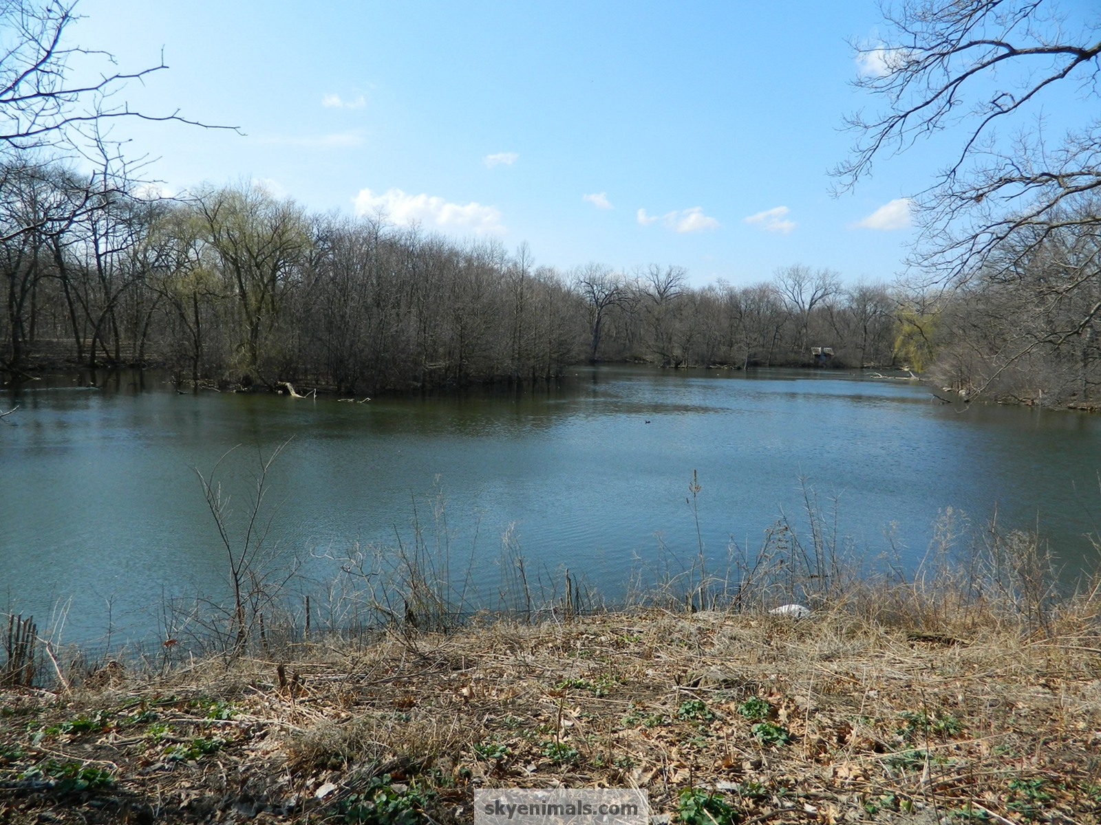 Lake Early Spring - HD Wallpaper 