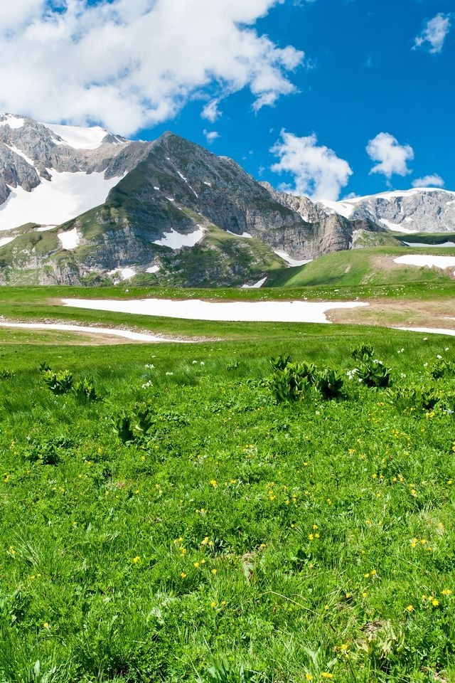 Green Grass With Mountains - HD Wallpaper 