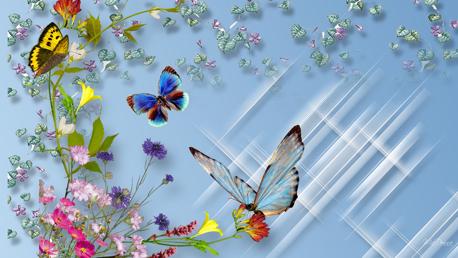 Hd Wallpaper Download Butterfly - HD Wallpaper 