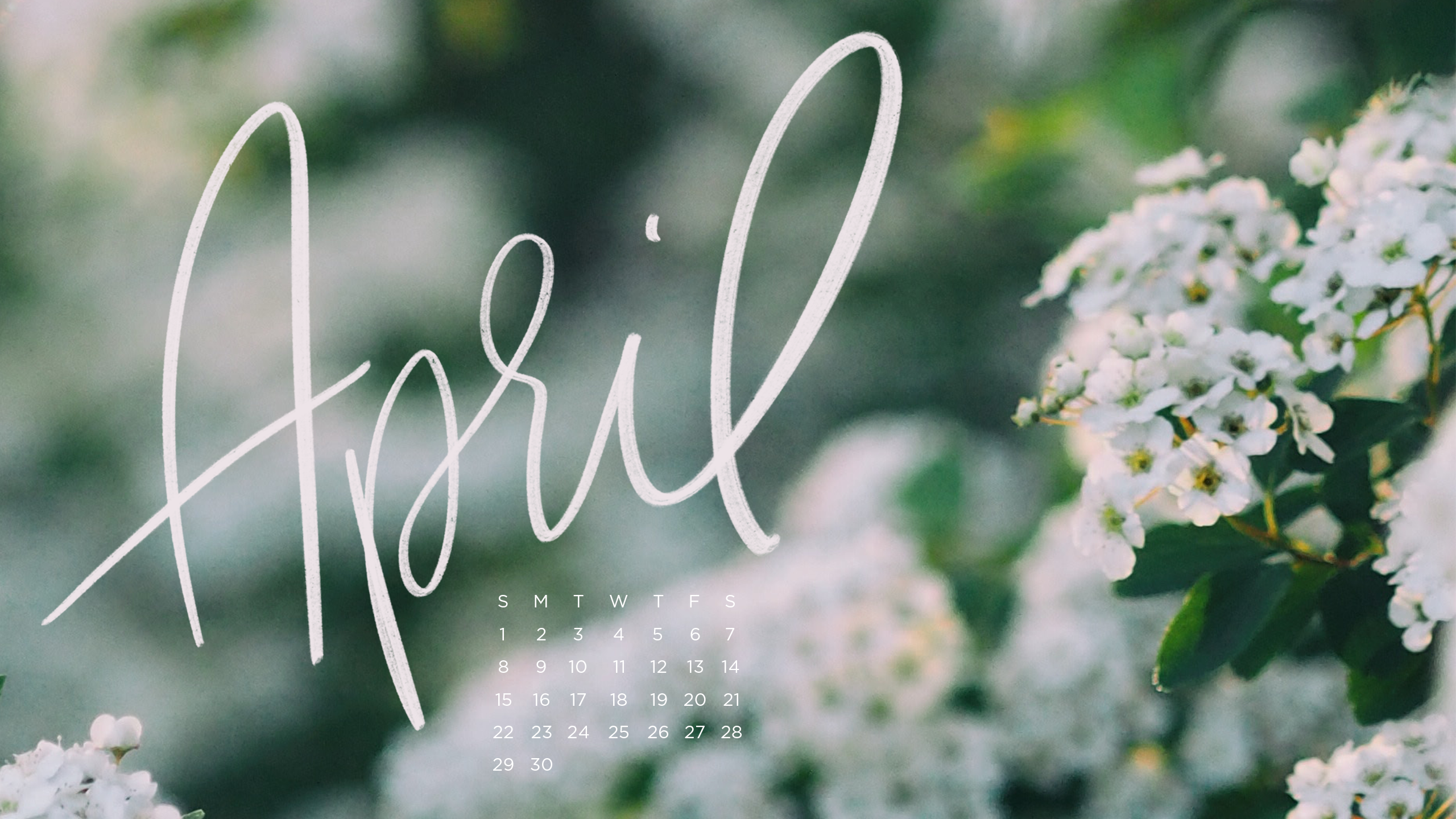 April Desktop Backgrounds - 2560x1440 Wallpaper 