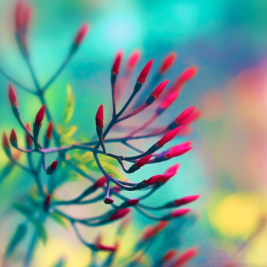 Spring Wallpapers For Ipad - HD Wallpaper 