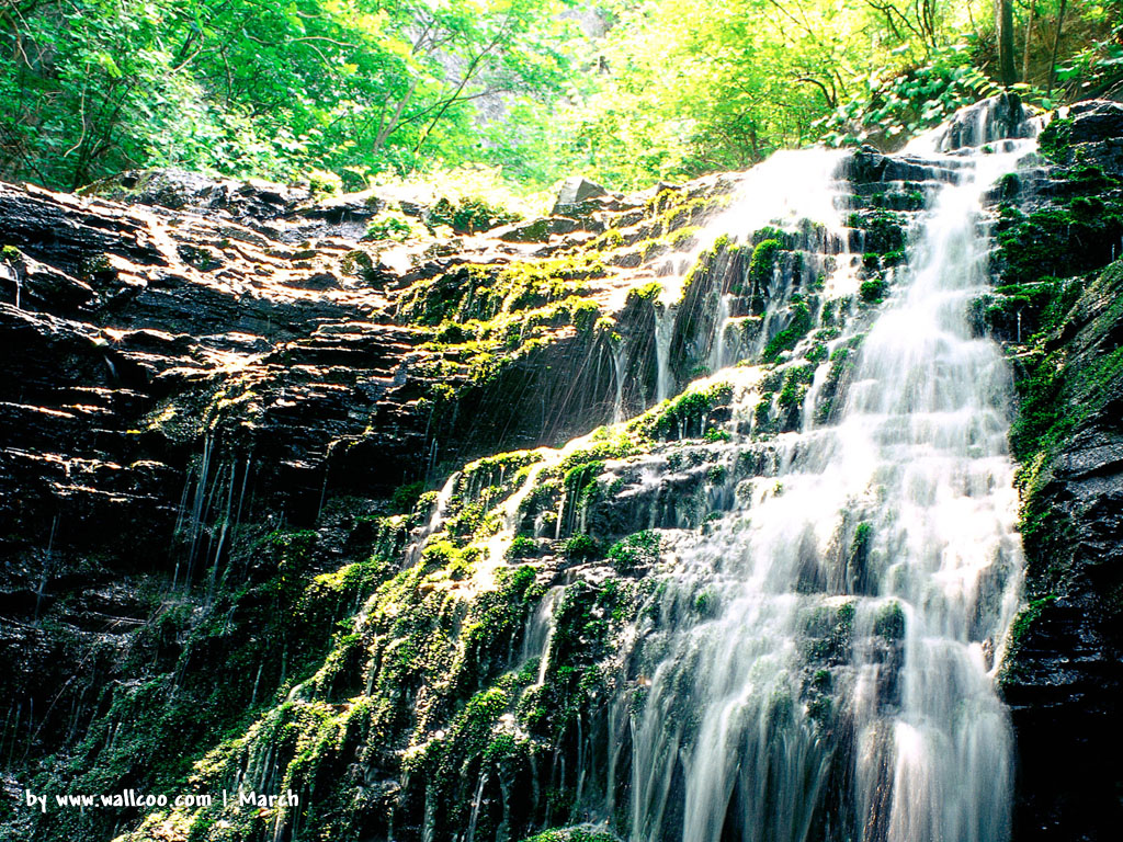 Early Spring Scene Wallpapers 1024*768 No - Wallpaper - HD Wallpaper 