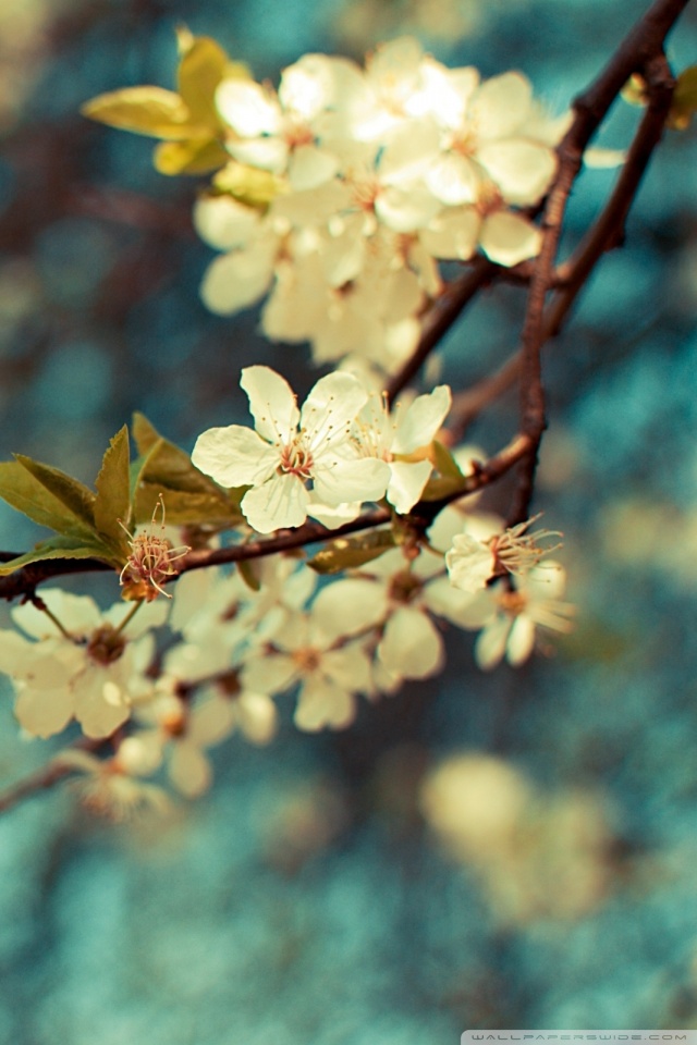 Vintage Background Pictures For Computer - HD Wallpaper 