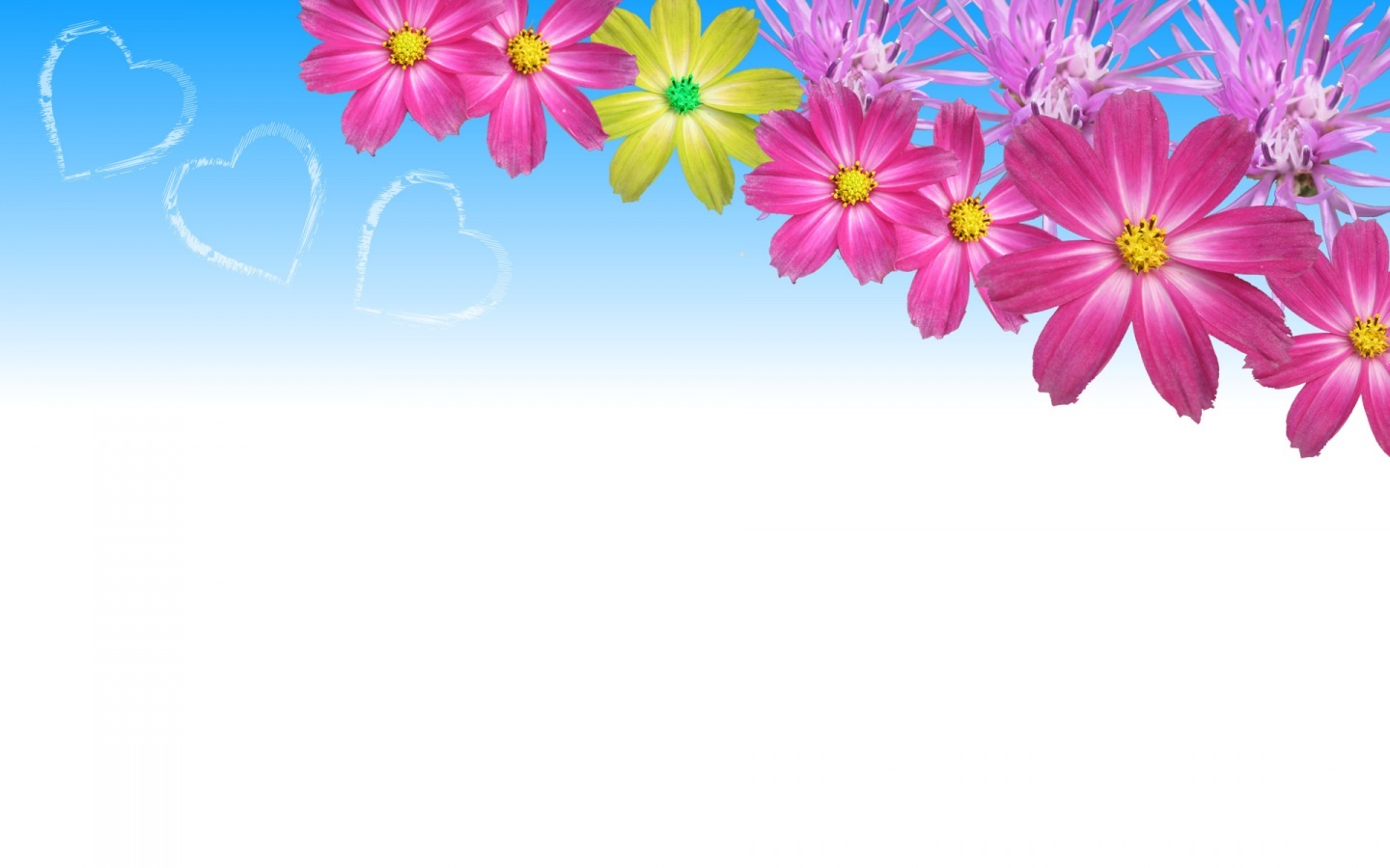 Flower Background Images Free Download Clip Library - Flower Backgrounds High Resolution - 1440x900 Wallpaper Flower Background Images Free Download Clip Library - Flower Backgrounds High Resolution - 1440x900 Wallpaper