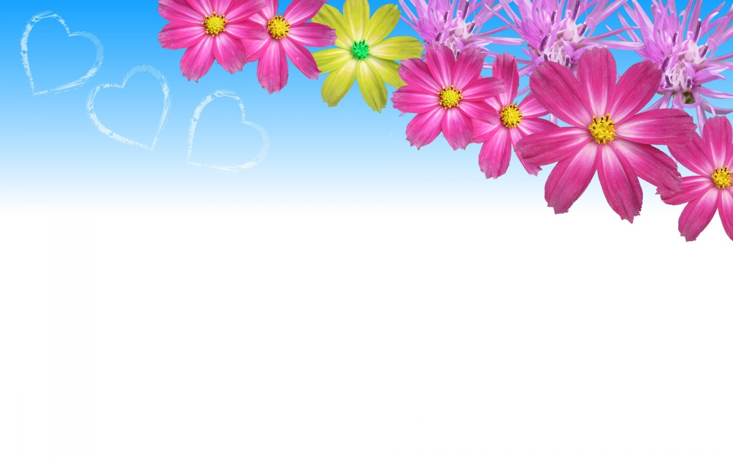 Flower Background Images Free Download Clip Library - Flower Backgrounds High Resolution - HD Wallpaper 